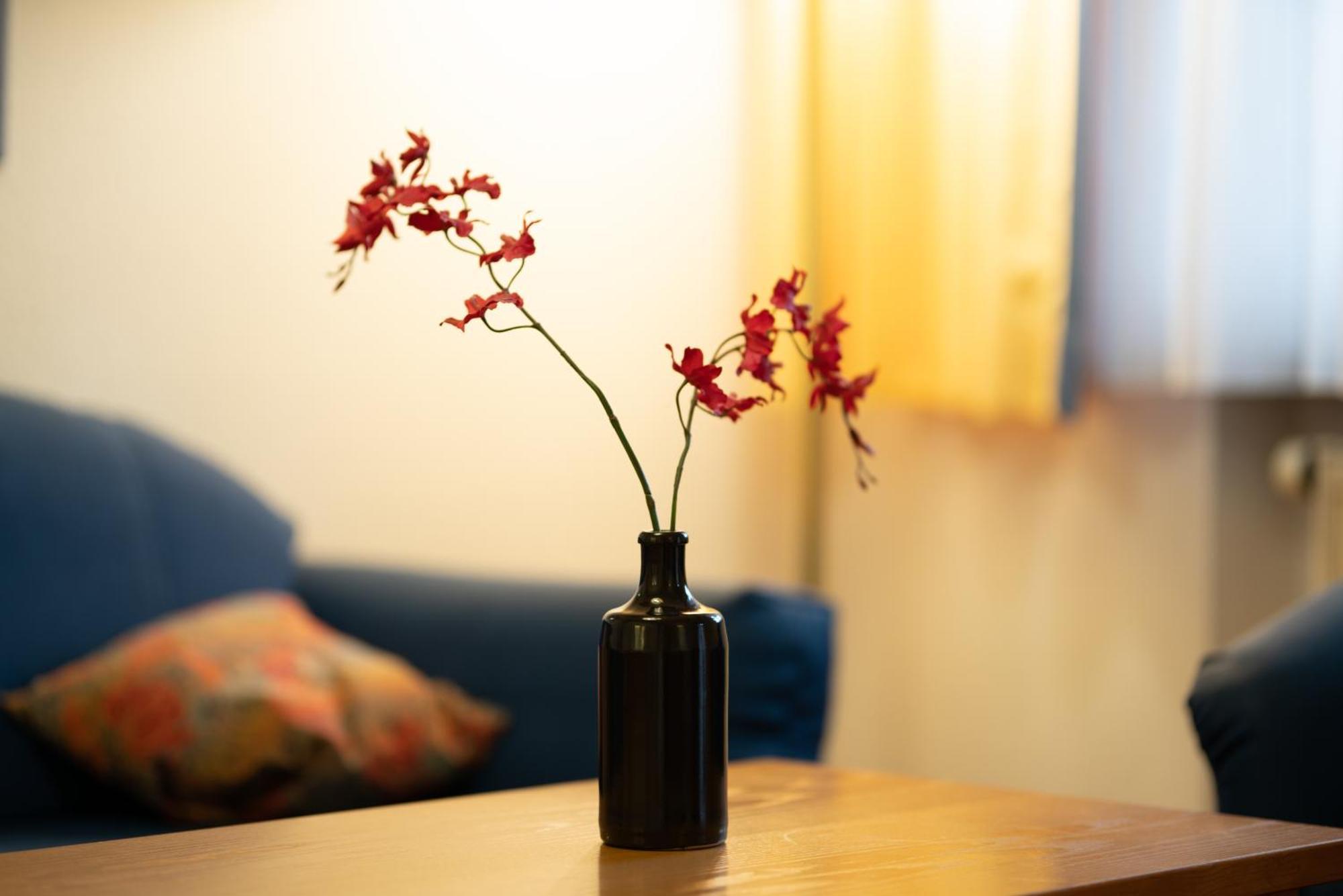 Appartement Hotel Finkenhof キルヒハム エクステリア 写真